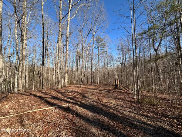 $139,900 | 14.53-ac Pickett Park Highway, Jamestown, TN 38556