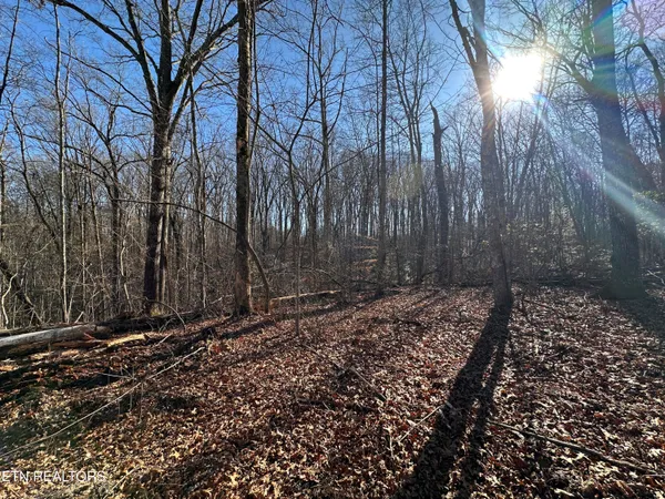 $139,900 | 14.53-ac Pickett Park Highway, Jamestown, TN 38556