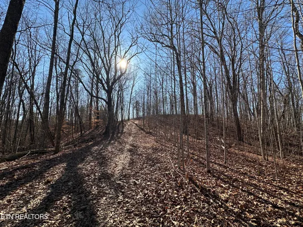 $139,900 | 14.53-ac Pickett Park Highway, Jamestown, TN 38556