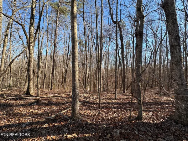 $139,900 | 14.53-ac Pickett Park Highway, Jamestown, TN 38556