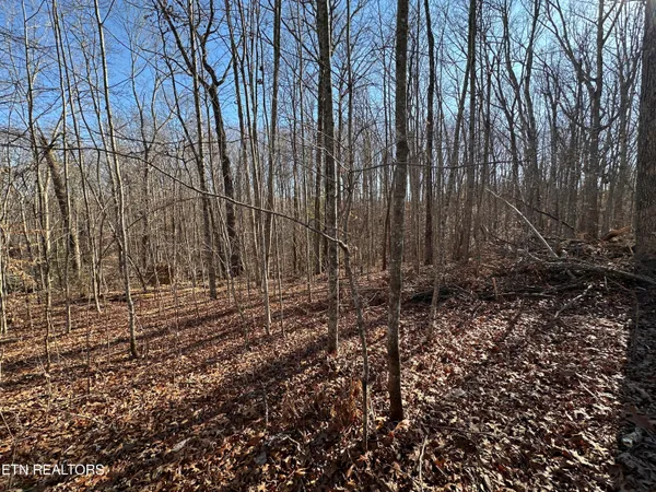 $139,900 | 14.53-ac Pickett Park Highway, Jamestown, TN 38556