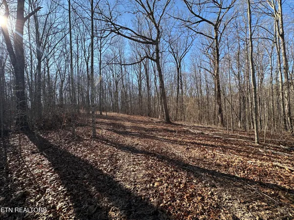 $139,900 | 14.53-ac Pickett Park Highway, Jamestown, TN 38556