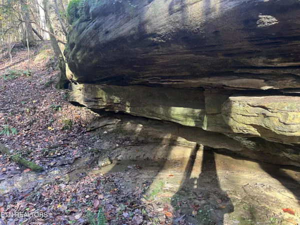$139,900 | 14.53-ac Pickett Park Highway, Jamestown, TN 38556