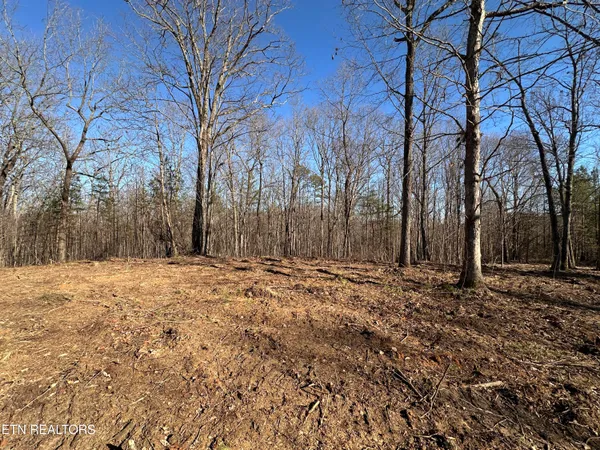 $139,900 | 14.53-ac Pickett Park Highway, Jamestown, TN 38556