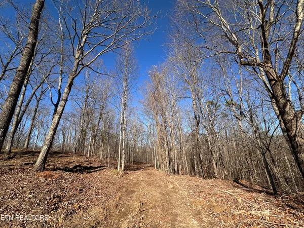 $139,900 | 14.53-ac Pickett Park Highway, Jamestown, TN 38556