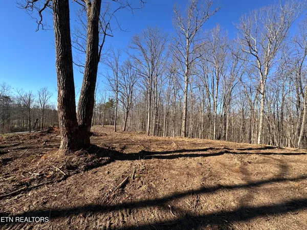 $139,900 | 14.53-ac Pickett Park Highway, Jamestown, TN 38556