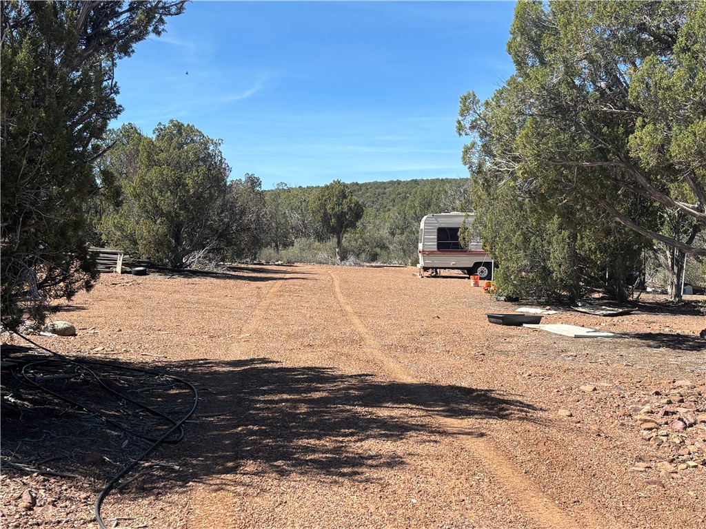 352-38-012 352-38-012 Badger Ridge Road Kingman, AZ 86401 - Photo 11 of 31