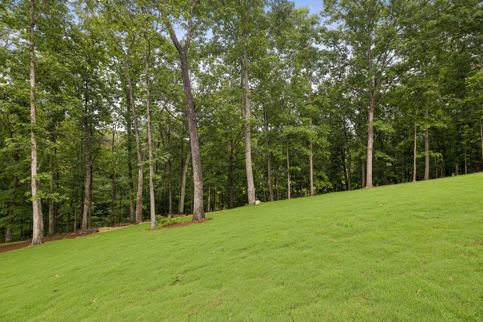 6318 Shirley Pond Road Harrison, TN 37341 - Photo 55 of 66 72-6318 Shirley Pond Rd Harrison - 072