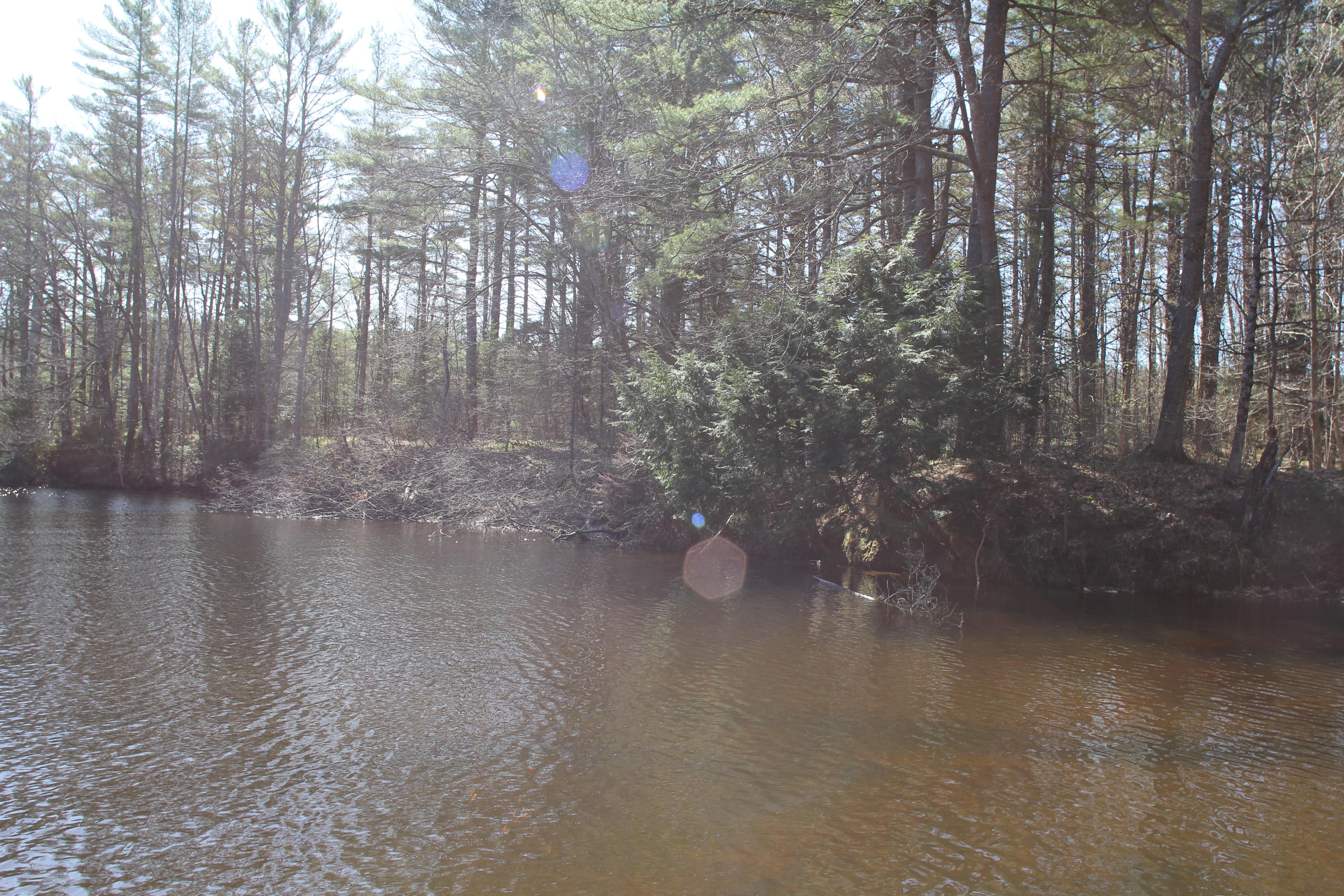 615 River Road Norridgewock, ME 04957 - Photo 7 of 31 IMG_6021