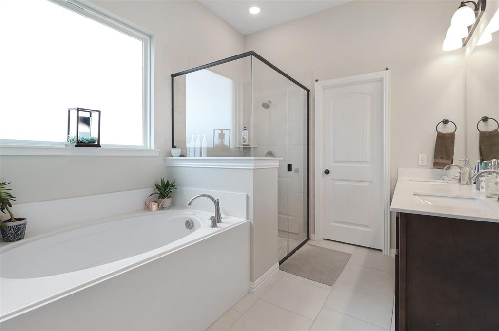 189 Chester Road Springtown, TX 76082 - Photo 19 of 29 a bathroom with a bathtub and a sink