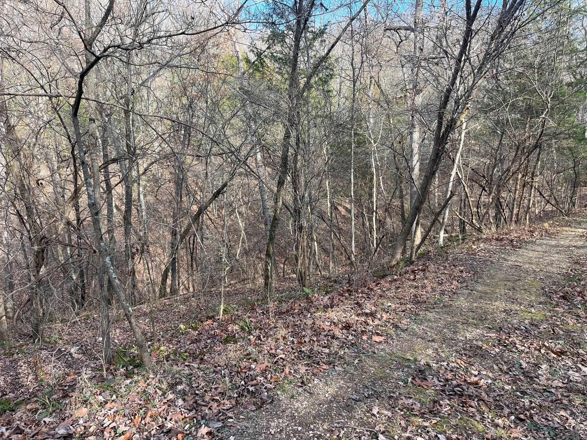 615 Thomas Hollow Road Exeter, MO 65647 - Photo 6 of 82 Escape to Heaven