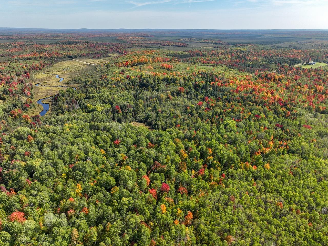 Off Coffee Creek Road Tomahawk, WI 54487 - Photo 27 of 50 Gallery Image 27