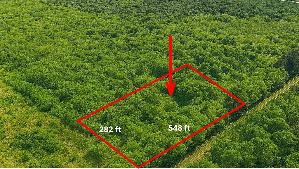 3905 17th Street Vero Beach, FL 32968 - Photo 2 of 2 a view of a park with plants and wooden fence