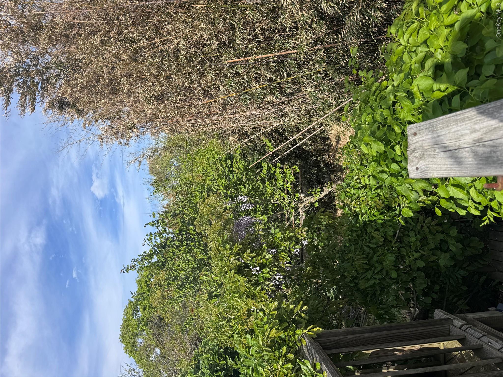 780 Surf Road Ocean Beach, NY 11770 - Photo 32 of 36