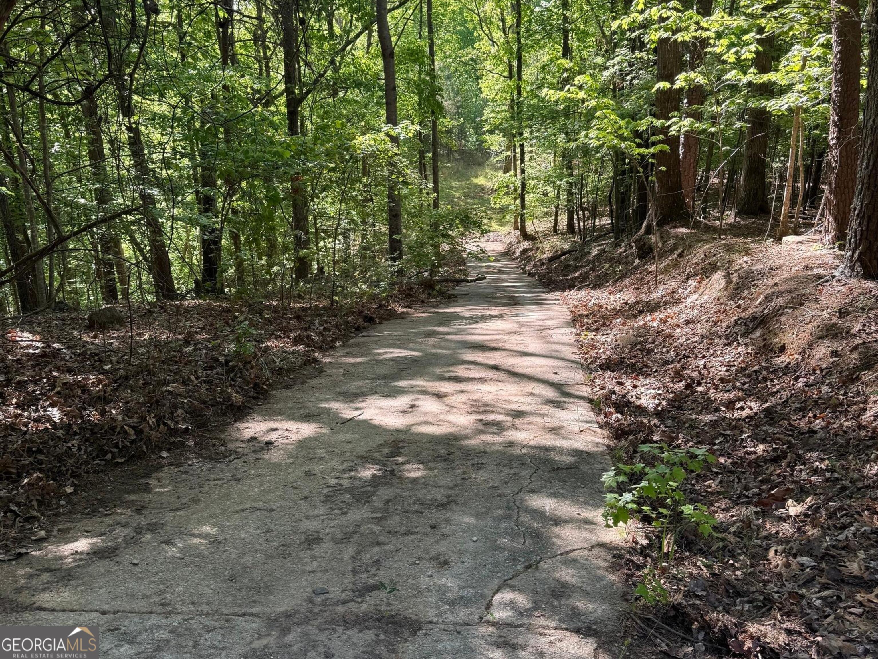 0 Baldwin Heights Road Baldwin, GA 30511 - Photo 2 of 3