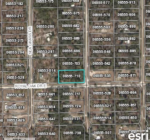 $52,000 | 0 Reed Drive, Perry, FL 32348