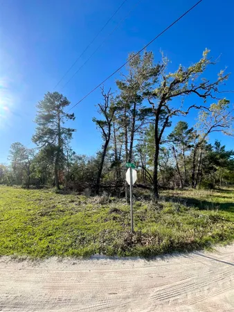 $45,000 | 0 Reed Drive, Perry, FL 32348