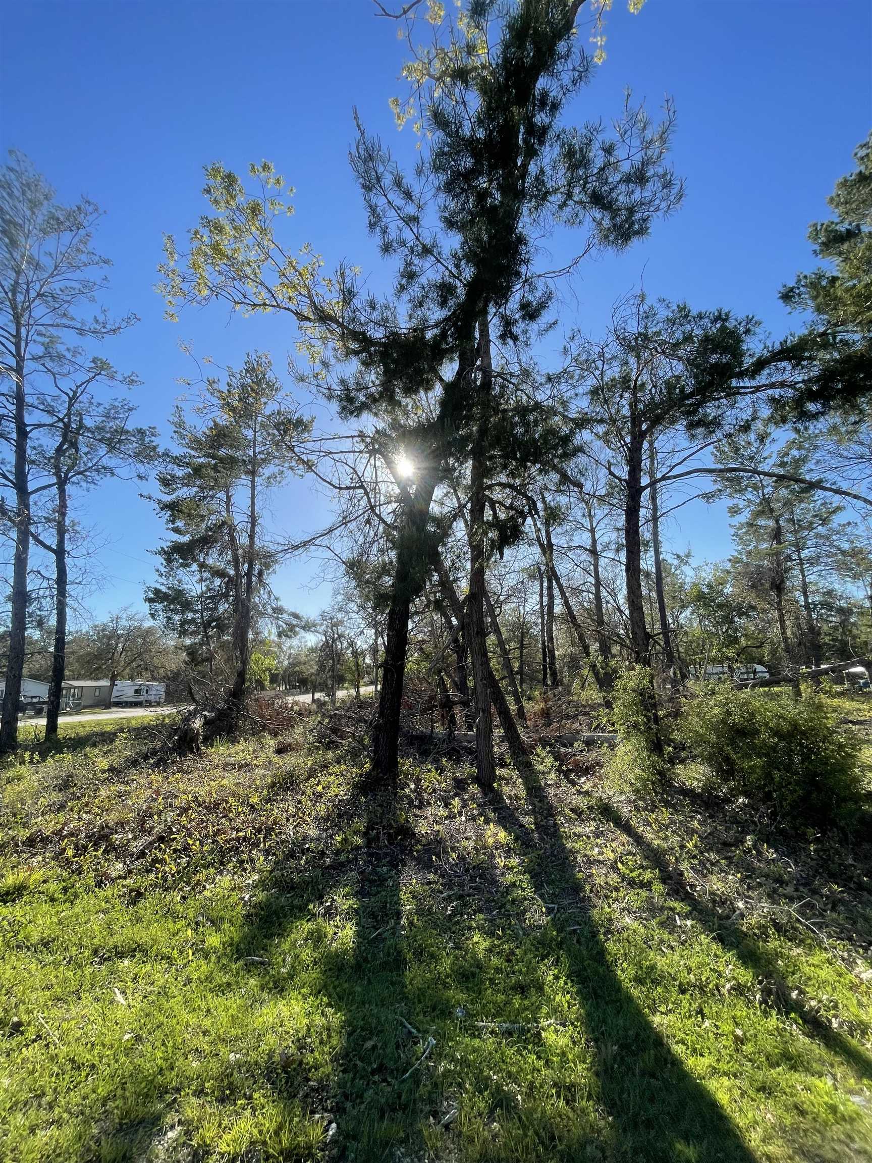 0 Reed Drive Perry, FL 32348 - Photo 3 of 6