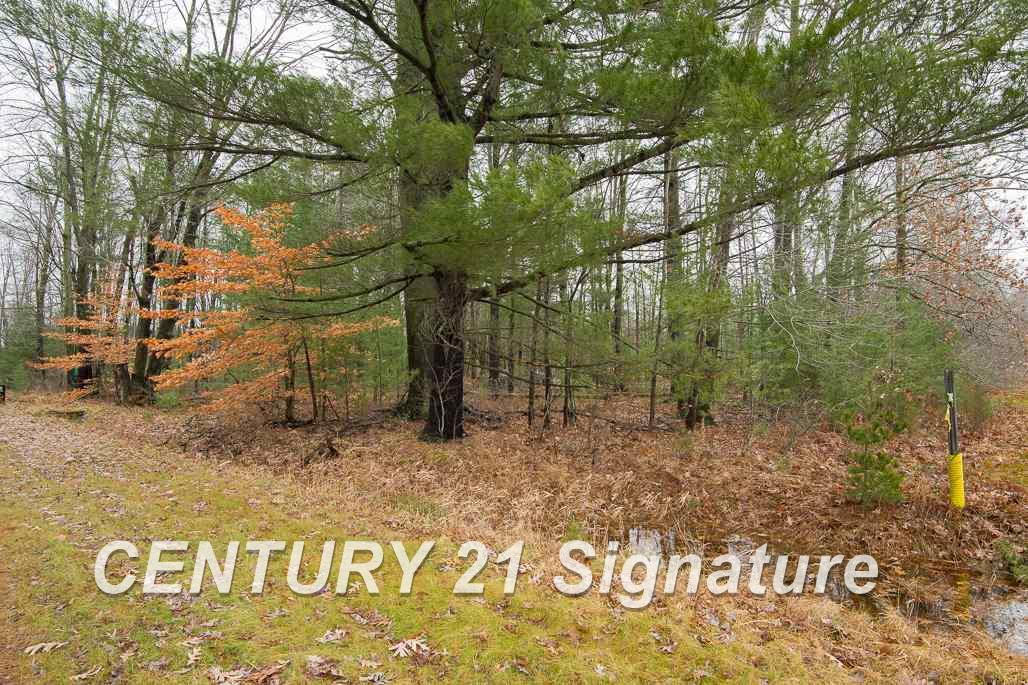 20091 West Burt Road Brant, MI 48614 - Photo 4 of 13