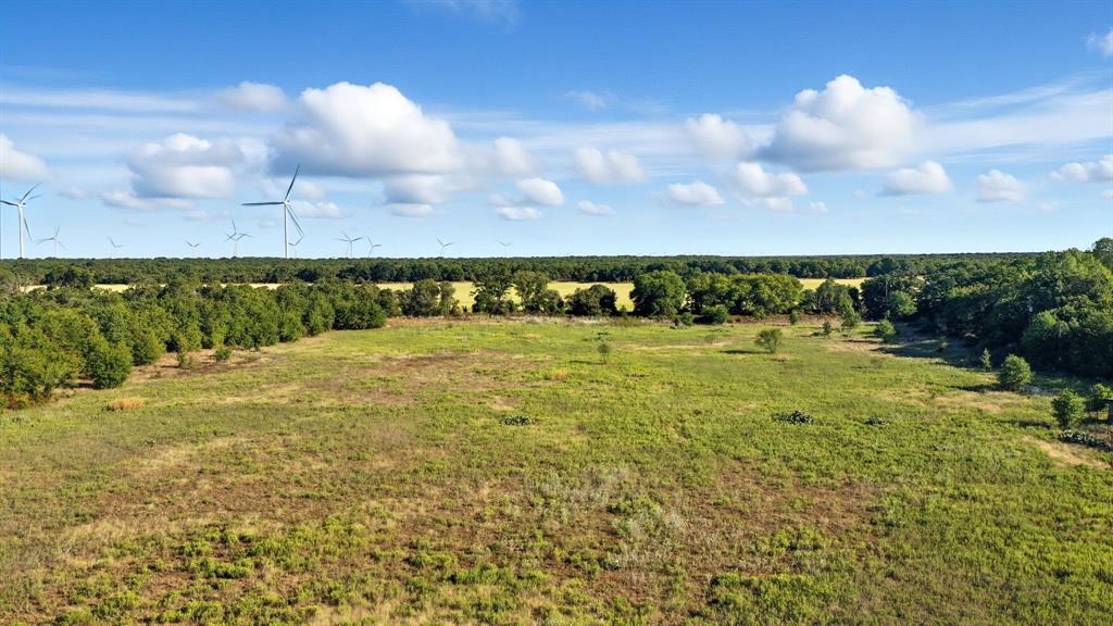 2118 County Road 137 Cisco, TX 76437 - Photo 14 of 25 a view of an ocean