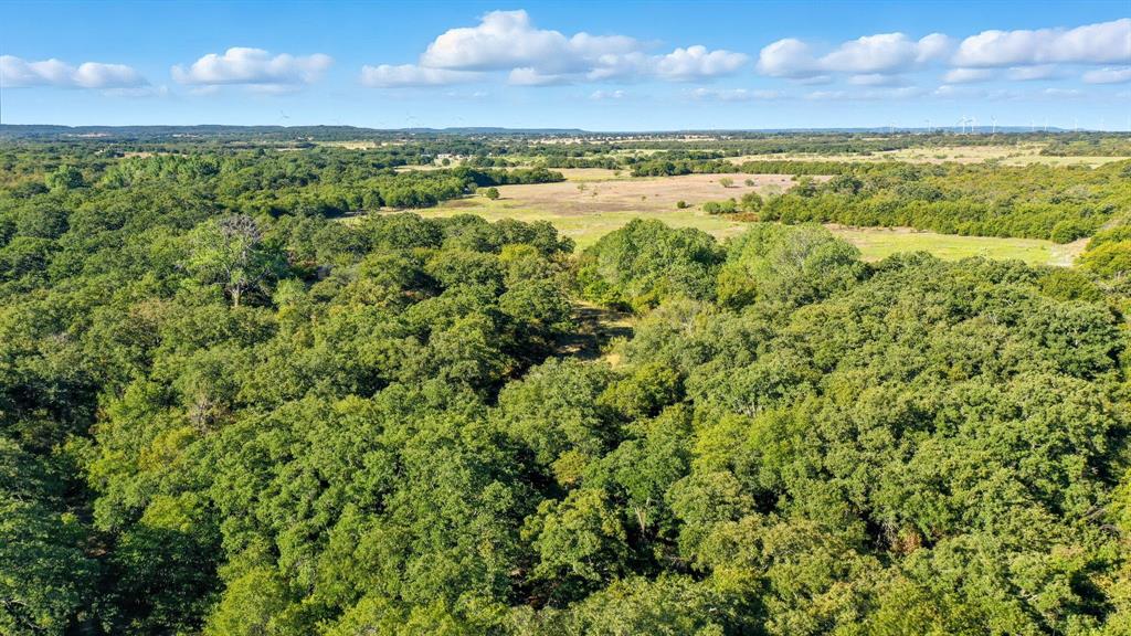 2118 County Road 137 Cisco, TX 76437 - Photo 21 of 25 a view of an outdoor space and a yard