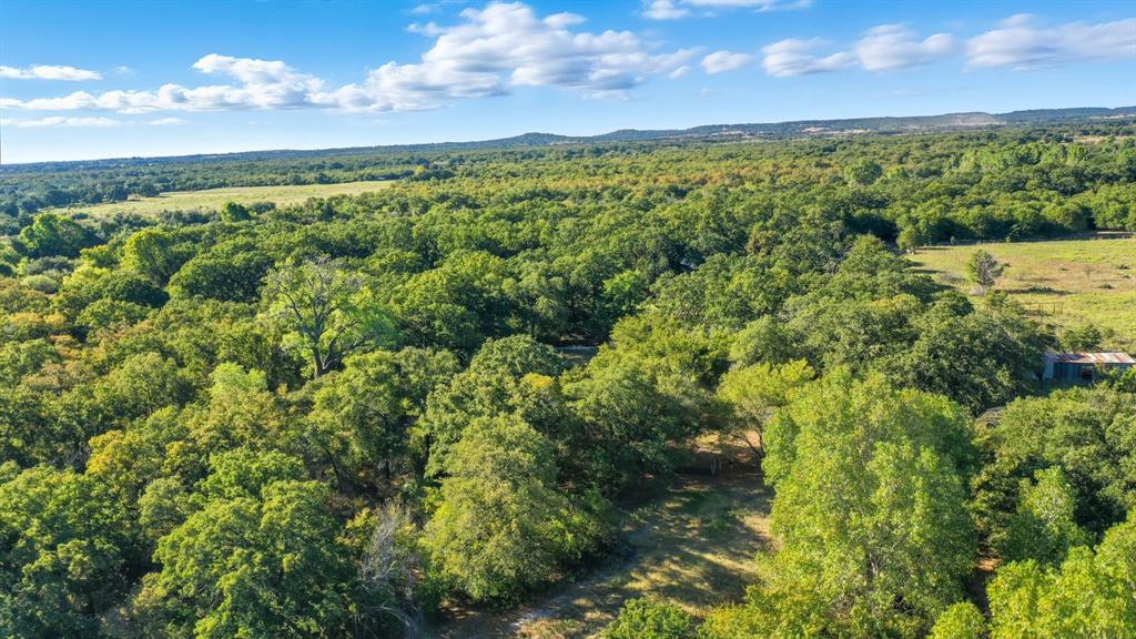 2118 County Road 137 Cisco, TX 76437 - Photo 24 of 25 a view of a green yard