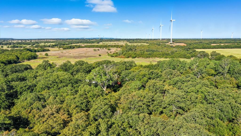 2118 County Road 137 Cisco, TX 76437 - Photo 25 of 25 a view of an ocean and beach