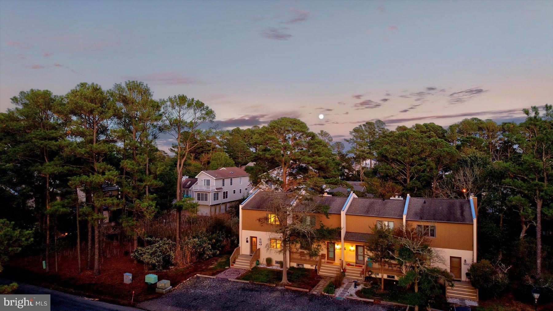 761 D Salt Pond Road Bethany Beach, DE 19930 - Photo 44 of 47 Moon at Night over Home