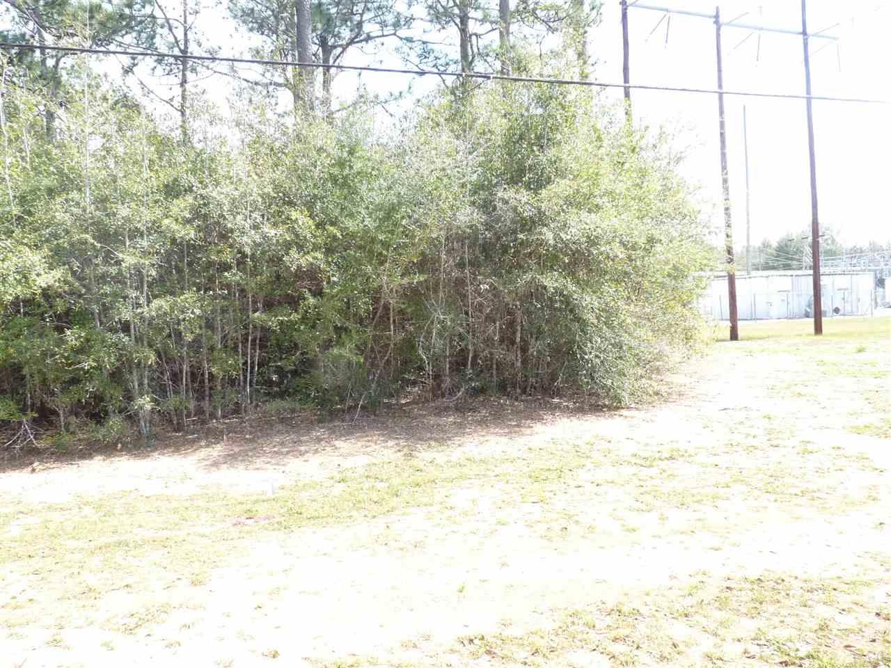 457 East Spencer Field Road Pace, FL 32571 - Photo 9 of 10 Gallery Image 9