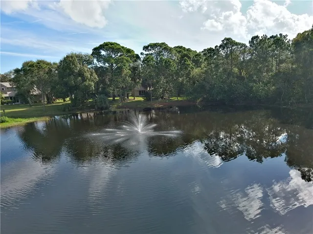 a view of a lake from a yard
