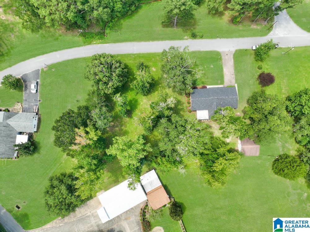 105 Campbell Road Clanton, AL 35045 - Photo 40 of 43