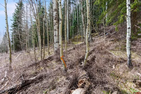 $189,000 | 49 Meadow Road, Durango, CO 81303