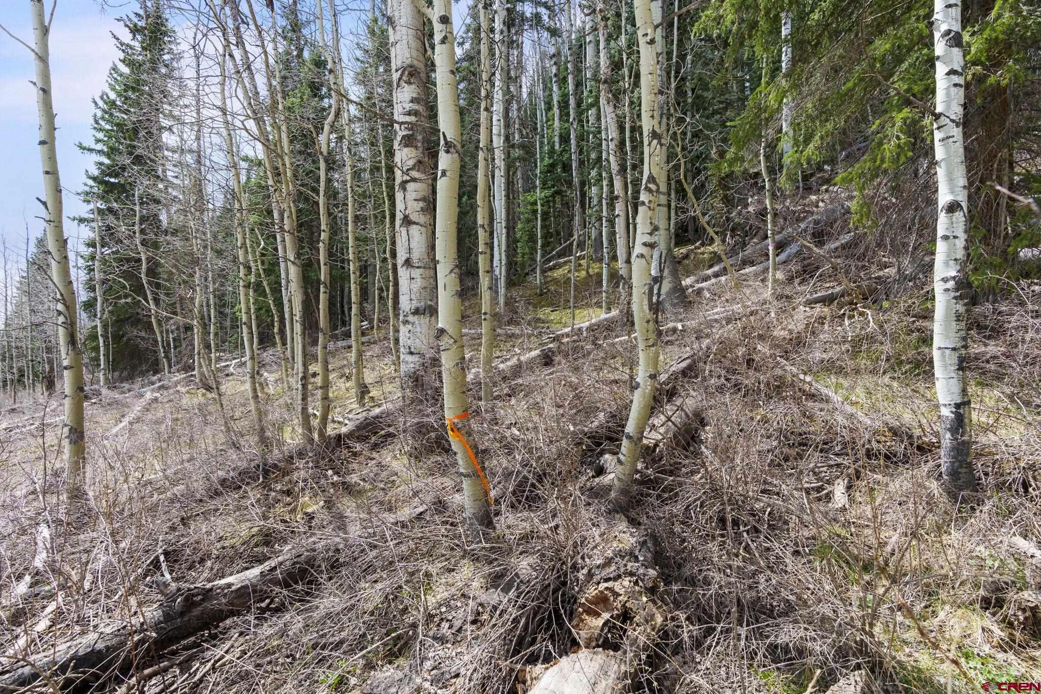 49 Meadow Road Durango, CO 81303 - Photo 11 of 14