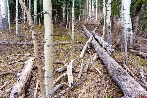 $189,000 | 49 Meadow Road, Durango, CO 81303