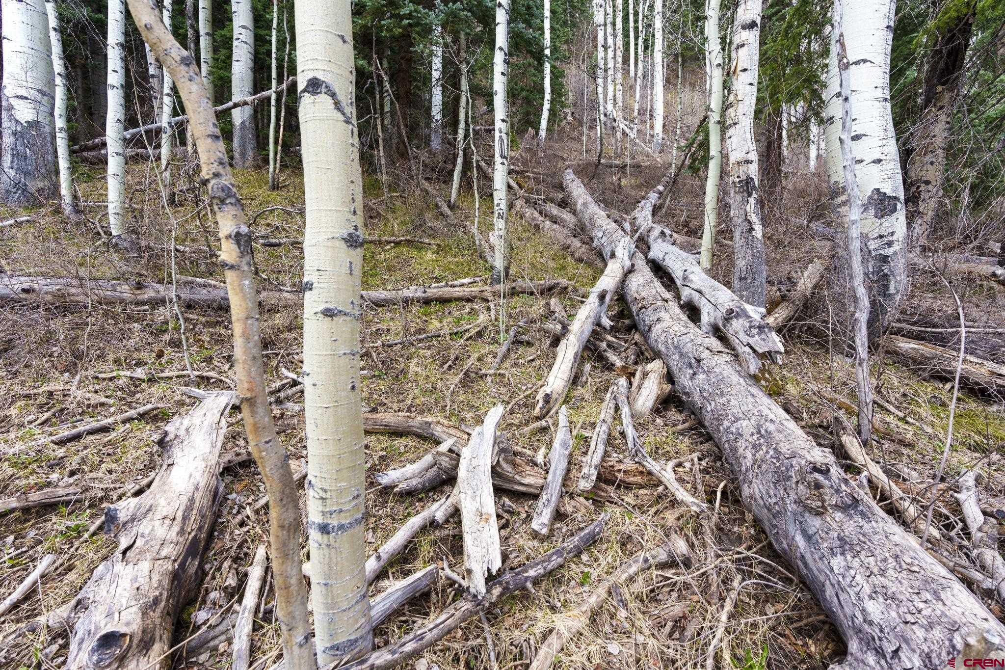 49 Meadow Road Durango, CO 81303 - Photo 12 of 14