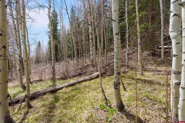 $189,000 | 49 Meadow Road, Durango, CO 81303