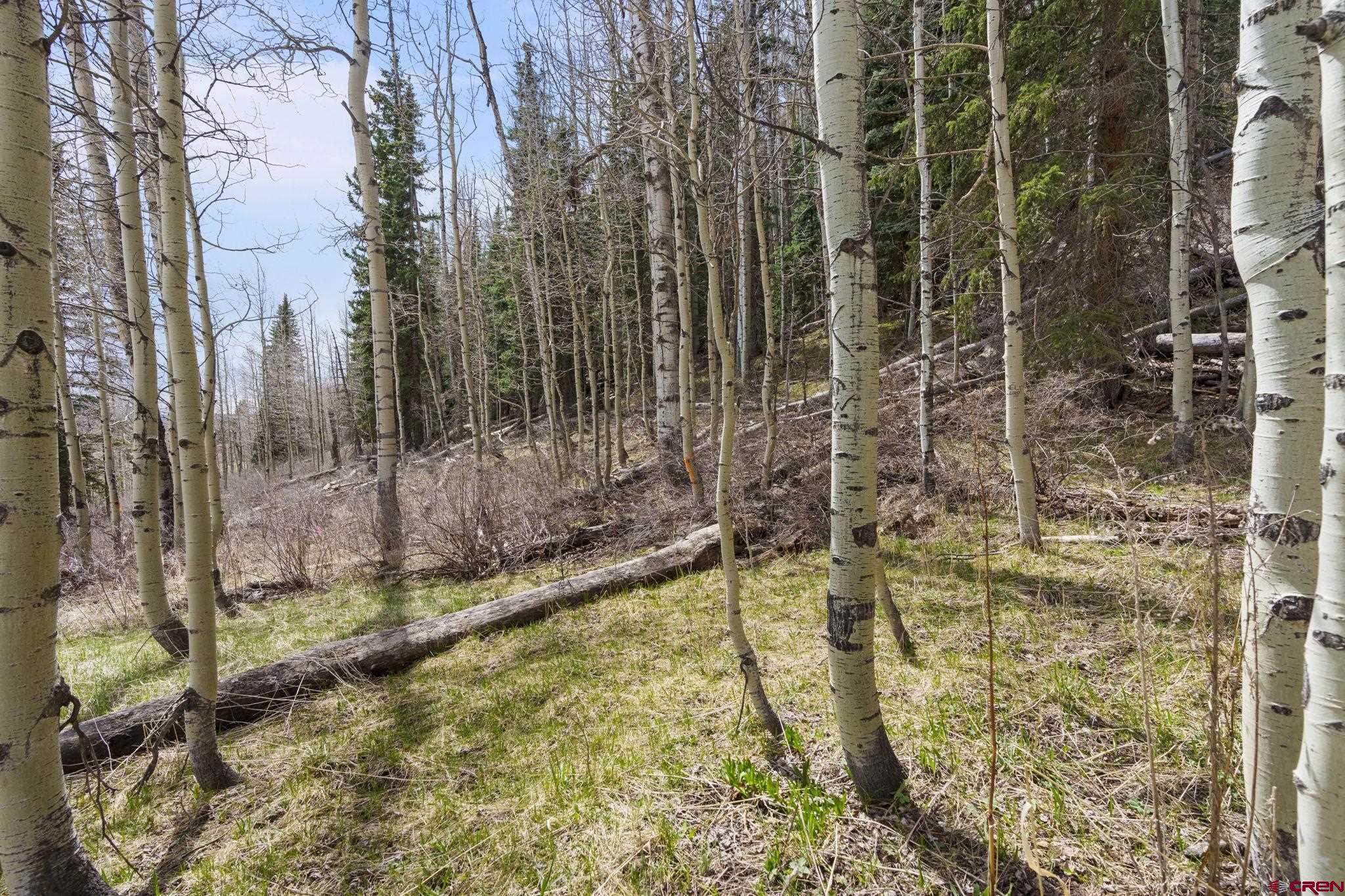 49 Meadow Road Durango, CO 81303 - Photo 10 of 14