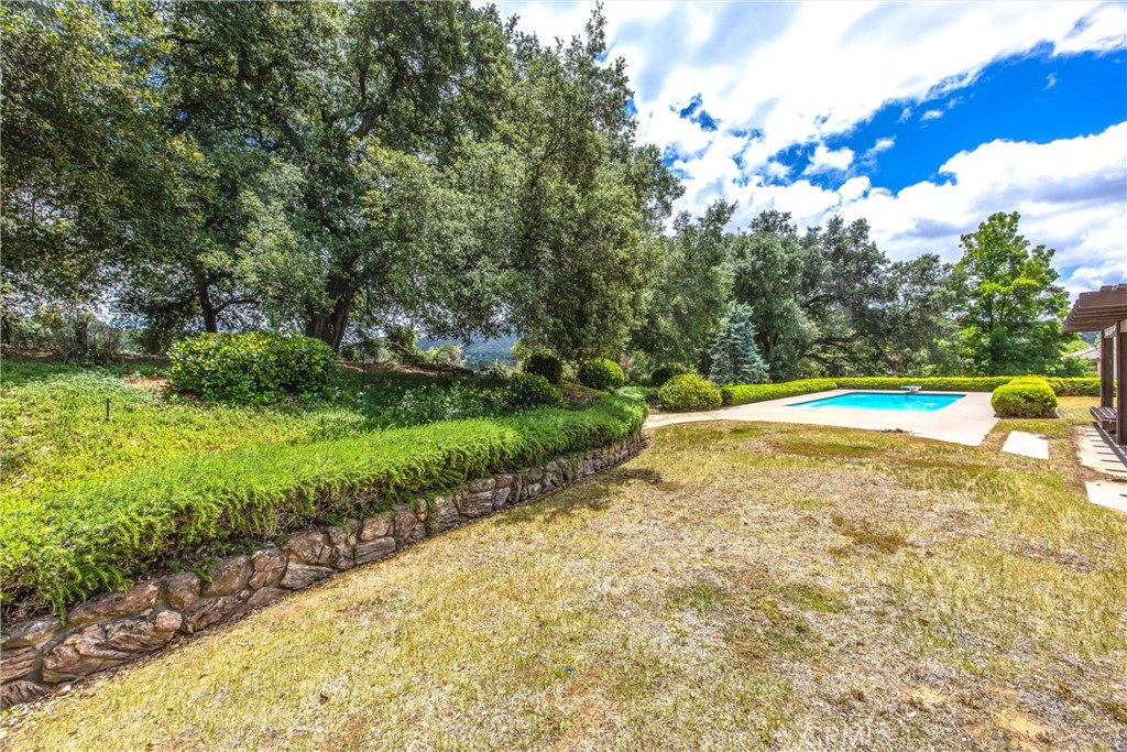 37295 Oak View Road Yucaipa, CA 92399 - Photo 45 of 59 a view of yard with swimming pool and green space
