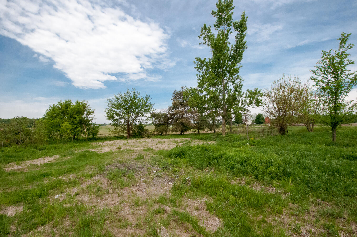 9871 Squawfield Road Pittsford, MI 49271 - Photo 6 of 36 DSC_0086-3