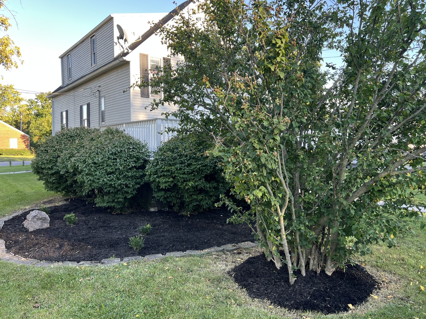 3002 Green Street, Unit 1 Steger, IL 60475 - Photo 2 of 29 a view of a house with a yard