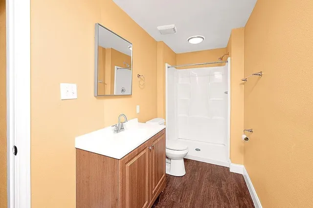 a bathroom with a sink a toilet and a mirror