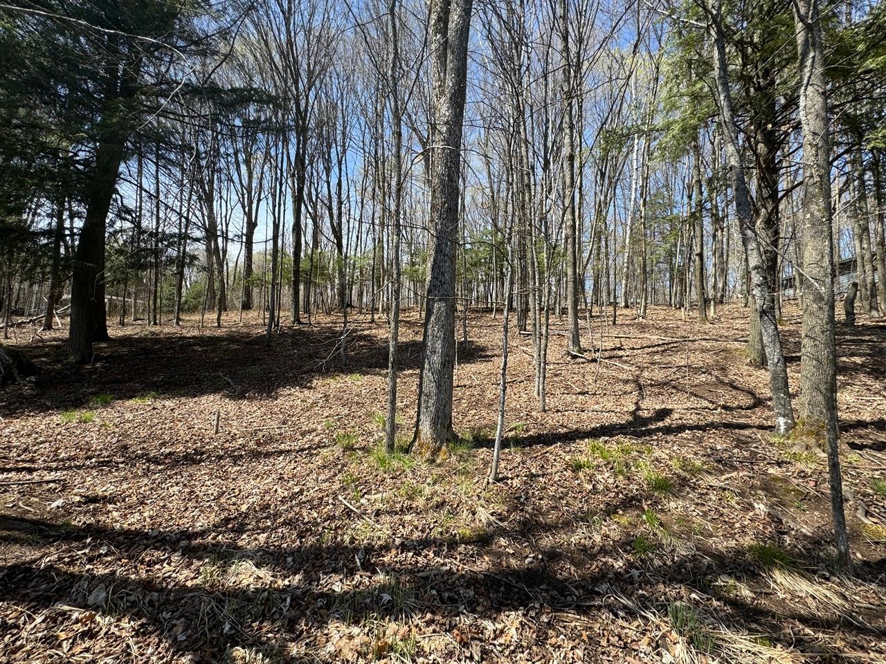 Lot 1 Black Forest Road Presque Isle, WI 54557 - Photo 6 of 18 Gallery Image 6