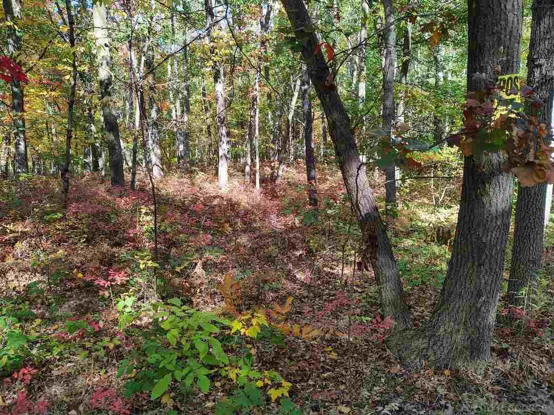 Sand Rd Port Port Austin, MI 48467 - Photo 1 of 5