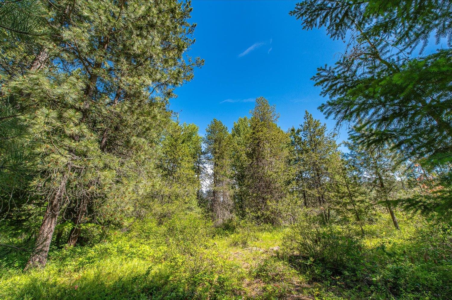 6105 East Grouse Road Chattaroy, WA 99003 - Photo 17 of 17