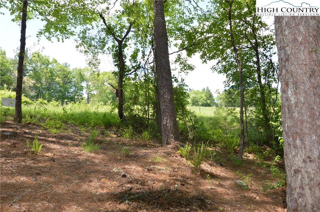 Lot #2 Brooks Road Glade Valley, NC 28627 - Photo 1 of 16 Gallery Image 1