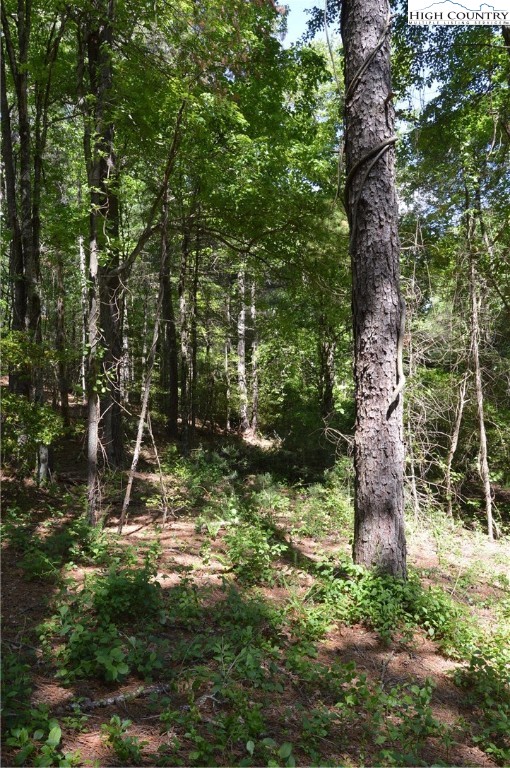 Lot #2 Brooks Road Glade Valley, NC 28627 - Photo 11 of 16 Gallery Image 11