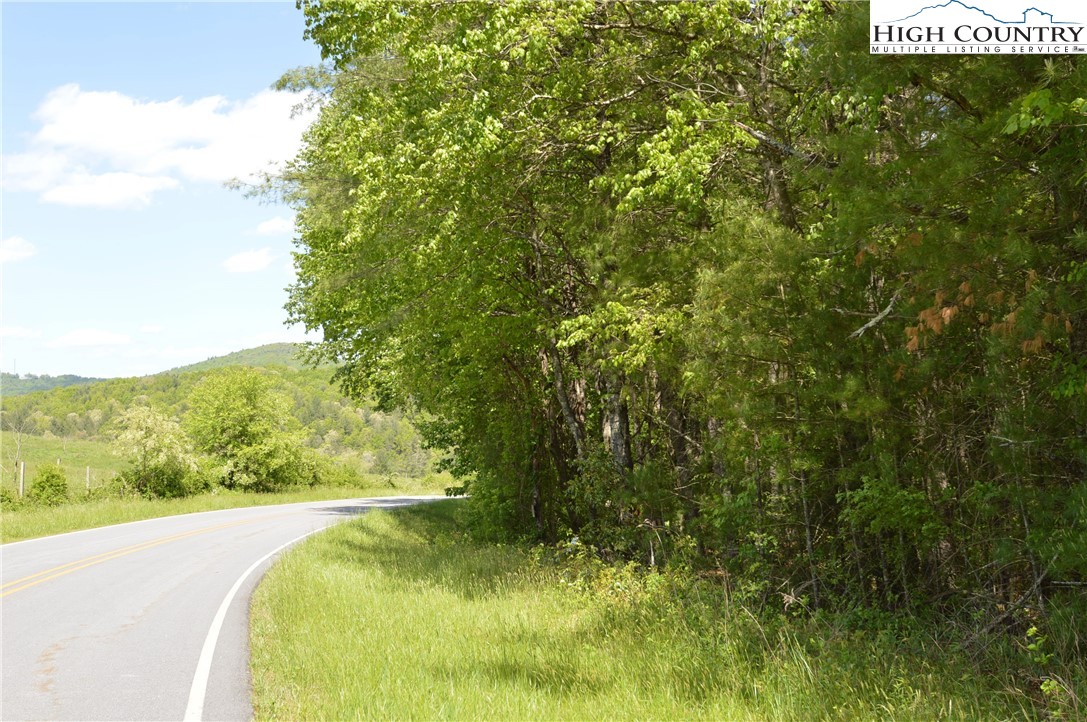 Lot #2 Brooks Road Glade Valley, NC 28627 - Photo 13 of 16 Gallery Image 13