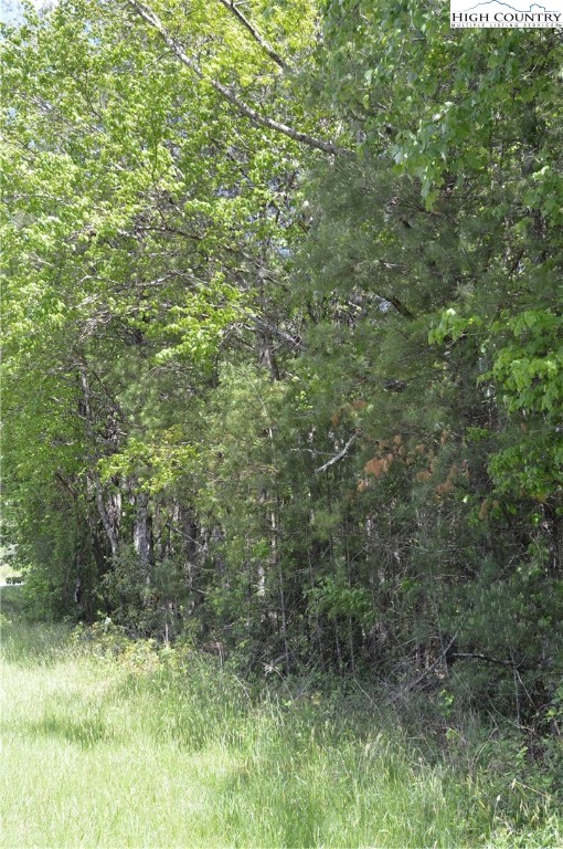 Lot #2 Brooks Road Glade Valley, NC 28627 - Photo 14 of 16 Gallery Image 14