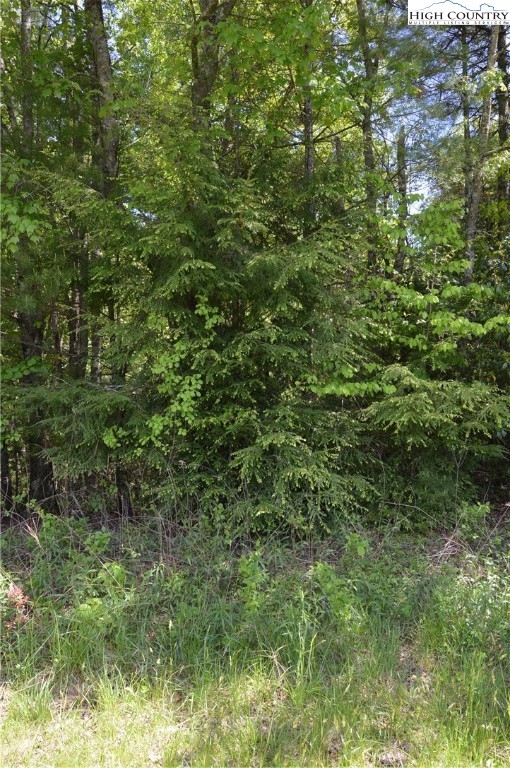 Lot #2 Brooks Road Glade Valley, NC 28627 - Photo 15 of 16 Gallery Image 15