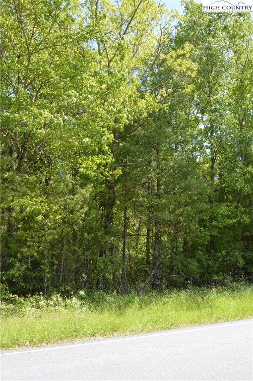 Lot #2 Brooks Road Glade Valley, NC 28627 - Photo 16 of 16 Gallery Image 16